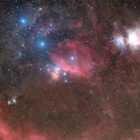 馬頭星雲 周辺