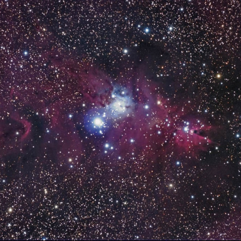 クリスマスツリー星雲