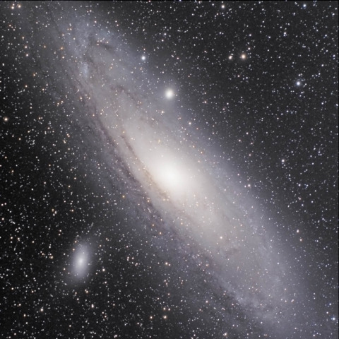 M31