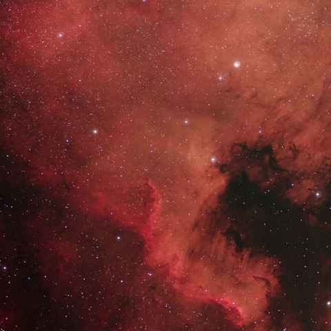 NGC7000 (擬似カラー）