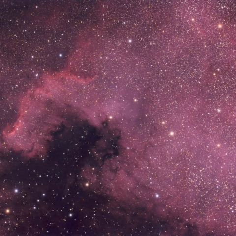 NGC7000