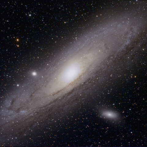 M31