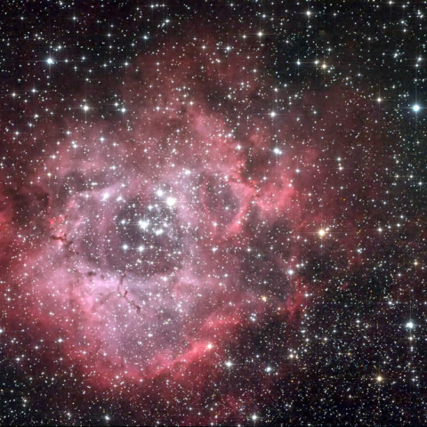 NGC2244