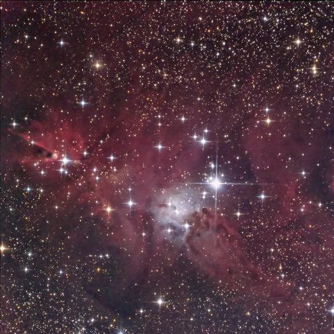 NGC2264