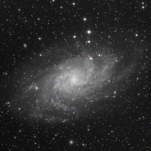 M33
