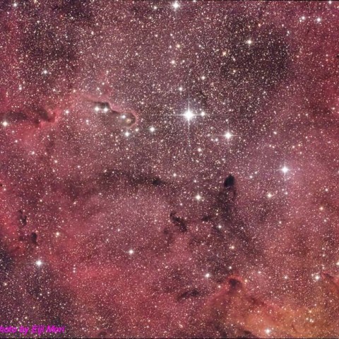 IC1396