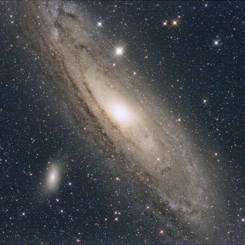 M31