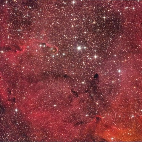 IC1396 ケフェウス座