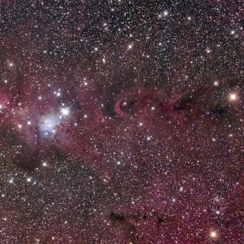 クリスマスツリー星団