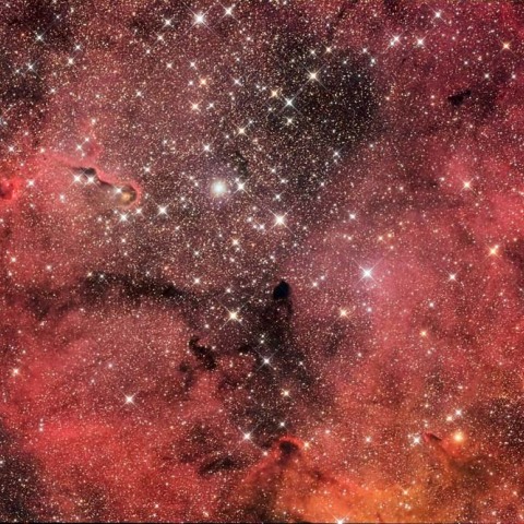 IC1396