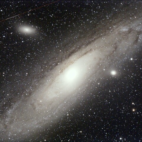 M31
