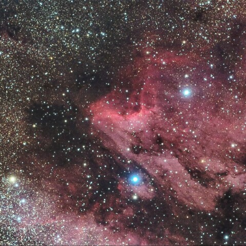 ペリカン星雲