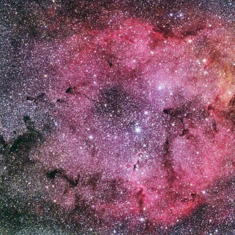 IC1396