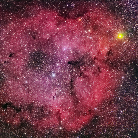 IC1396