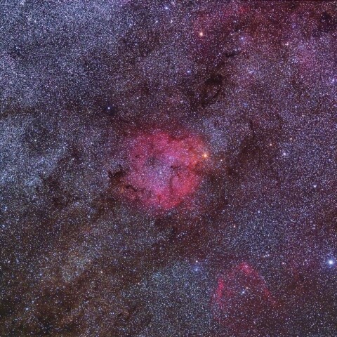 IC1396 周辺