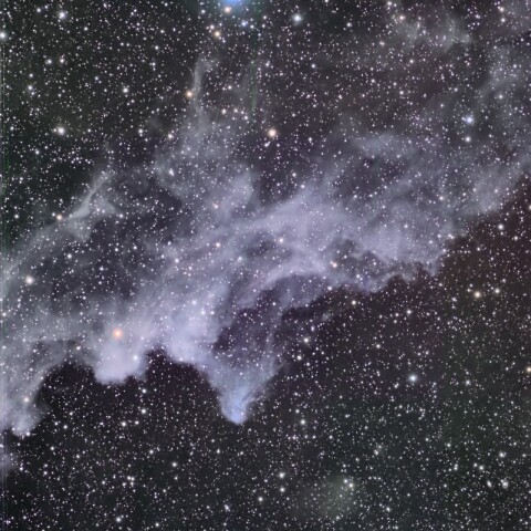 魔女の横顔星雲