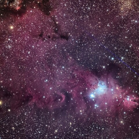 クリスマスツリー星団