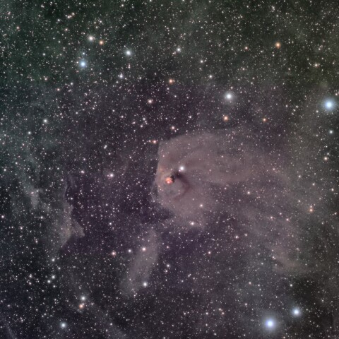 NGC1554 ハインドの変光星雲