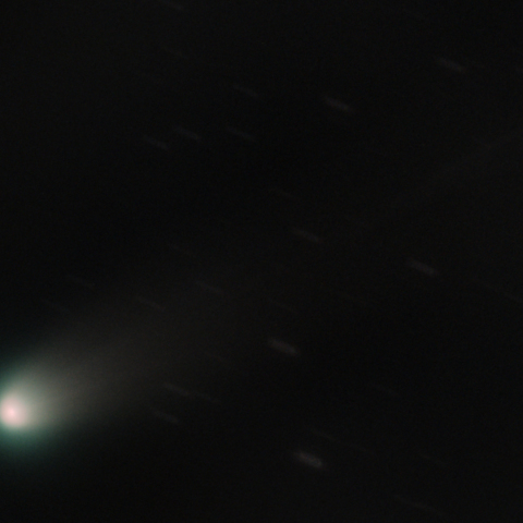 レモン彗星 (C/2025 A6)