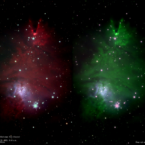 NGC 2264 (クリスマスツリー星団)