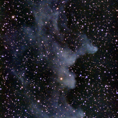 魔女の横顔星雲(NGC1909)