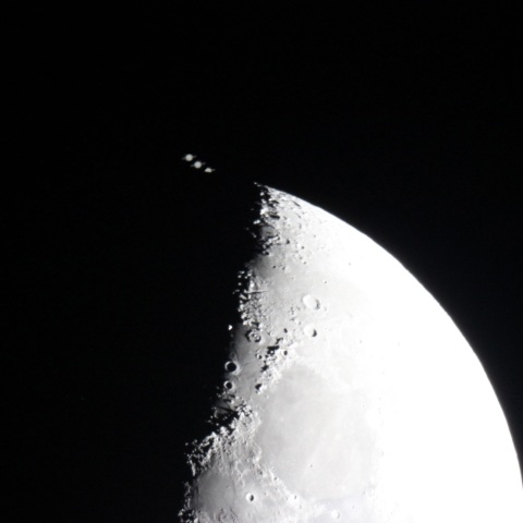 土星食(潜入)　 2024.12.08