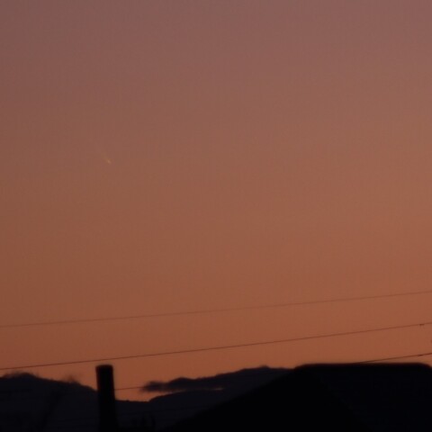 アトラス彗星(C/2024 G3) 