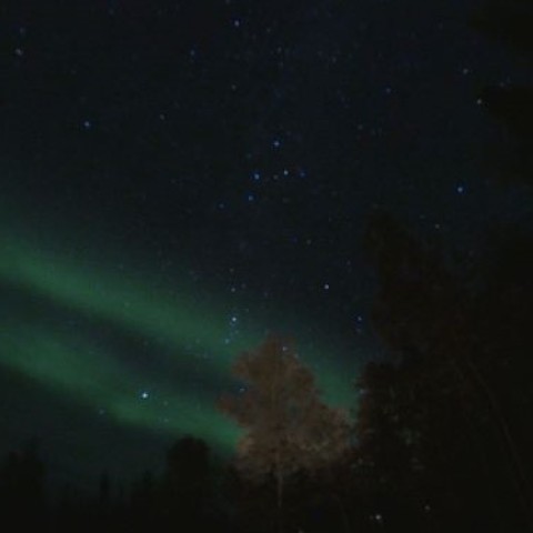 星　紅葉　オーロラ