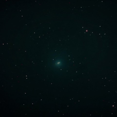 12月5日のウイルタネン彗星