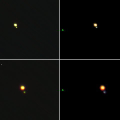 アンドロメダ座γ