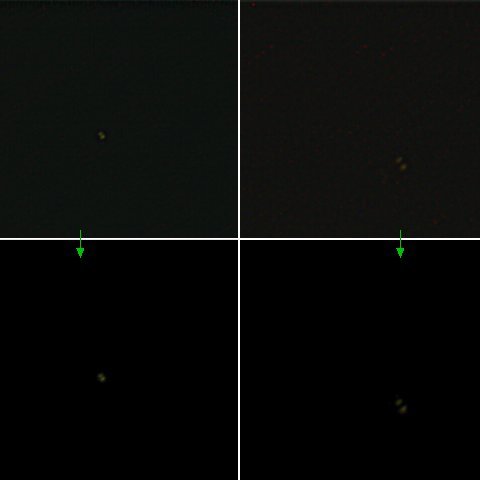 うみへび座17番星