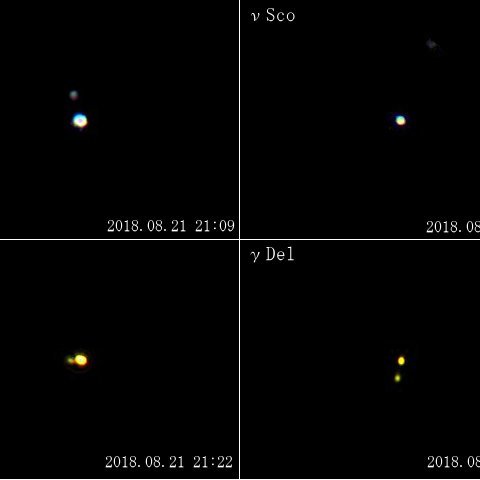 夏の重星Myベスト4（2018年）