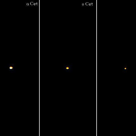 ミラとくじら座の赤色巨星たち