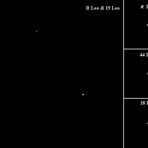 しし座Rとしし座の赤色巨星たち