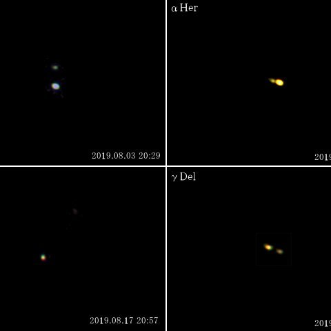 夏の重星Myベスト4(2019年)