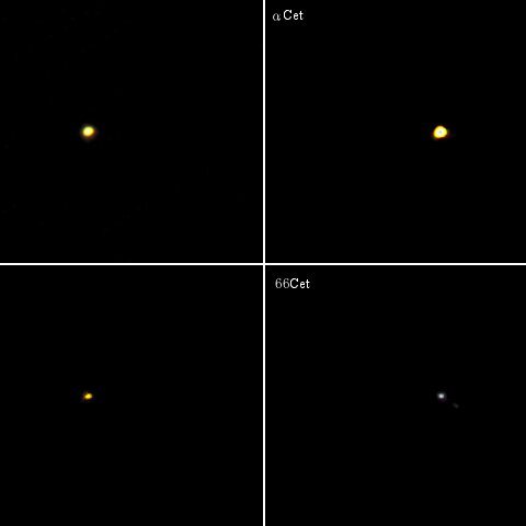 くじら座の六八九トリオ＋α