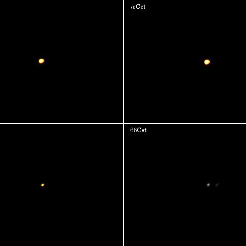 くじら座の六八九トリオ＋α(その2)