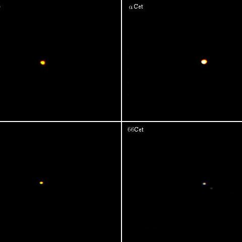 くじら座の六八九トリオ＋α（その5）