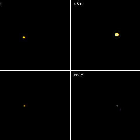 くじら座の六八九トリオ＋α（その6）