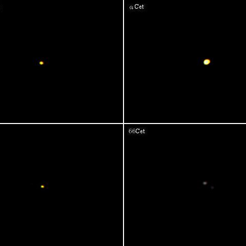 くじら座の六八九トリオ＋α(その8)