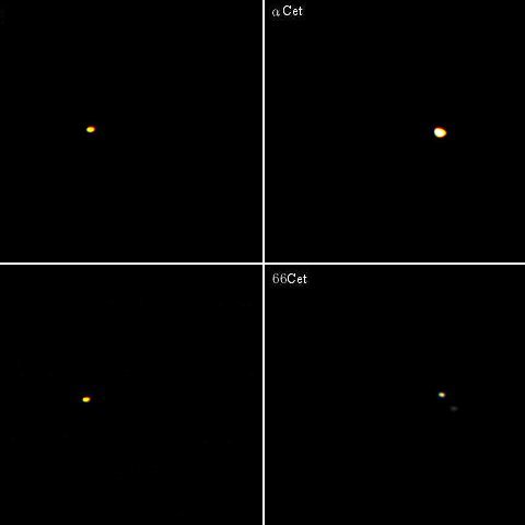 くじら座の六八九トリオ＋α(その9)