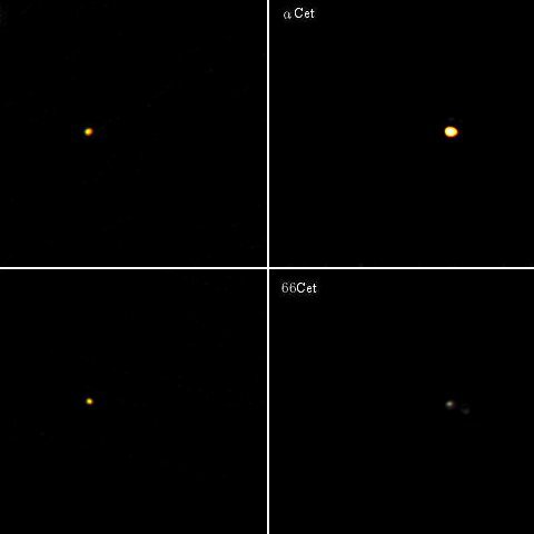 くじら座の六八九トリオ＋α(その10)