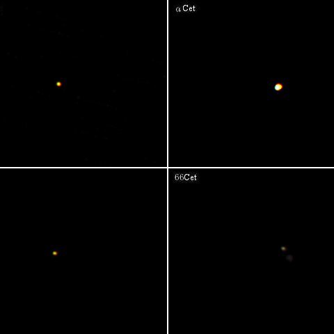 くじら座の六八九トリオ＋α(その11)