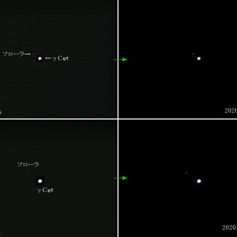 小惑星フローラとくじら座γの接近
