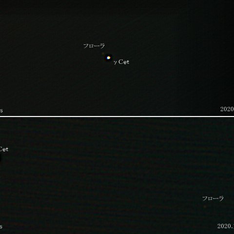 小惑星フローラとくじら座γの接近