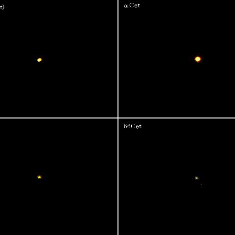 くじら座の六八九トリオ＋α
