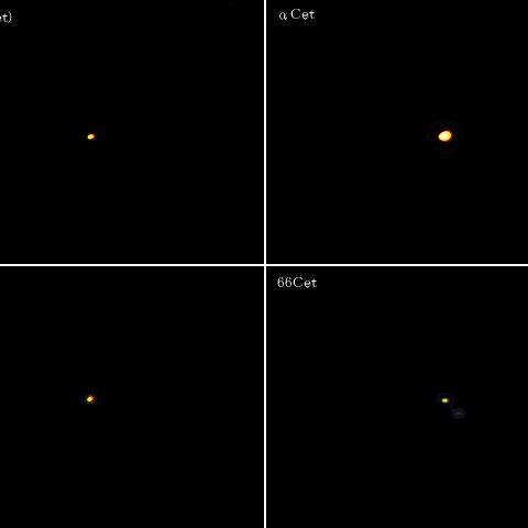 くじら座の六八九トリオ＋α(その5)