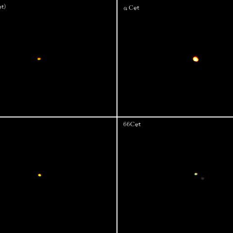 くじら座の六八九トリオ＋α(その6)