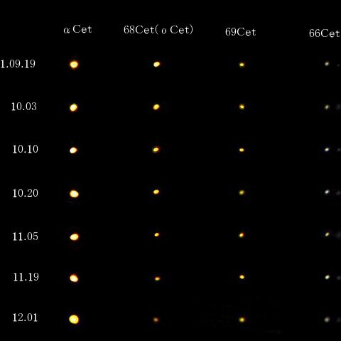 2021年ミラまとめ