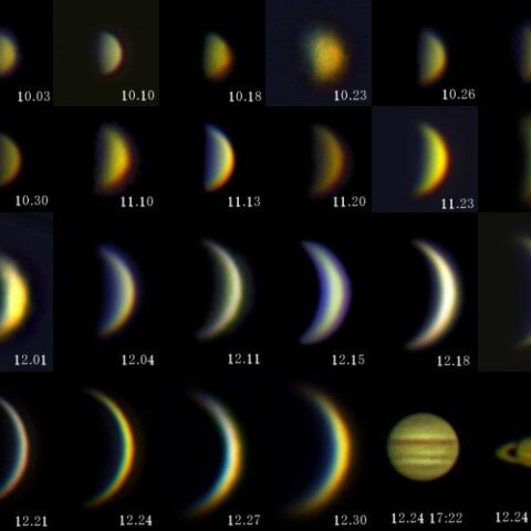 2021年金星まとめ